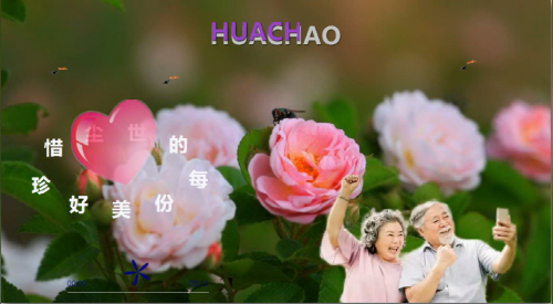 珍惜尘世的每份美好