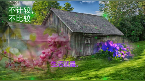生活就是，不计较，不比较