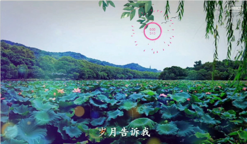 岁月告诉我