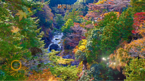 静赏秋意静美，拥抱平平安安