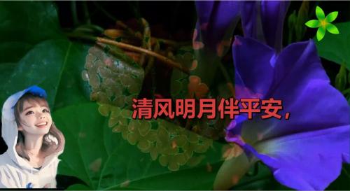 清风明月伴平安，心存善念天地宽