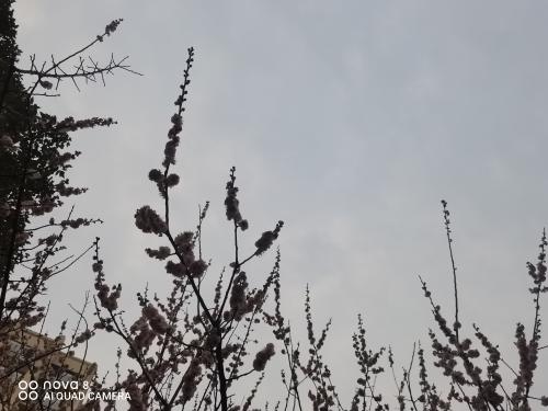 20190401谈裕华农中-五文革-1