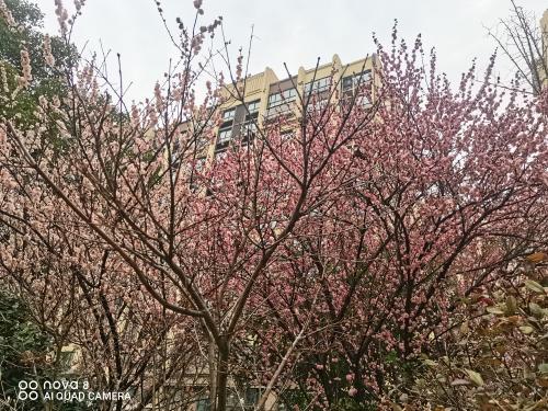 20190401谈裕农一建校1
